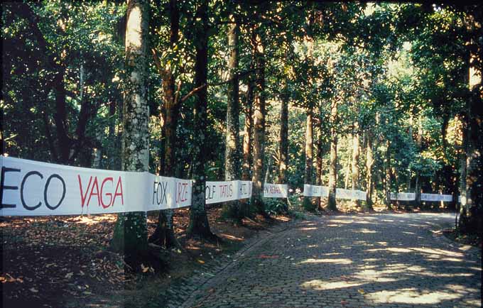 115.jpg